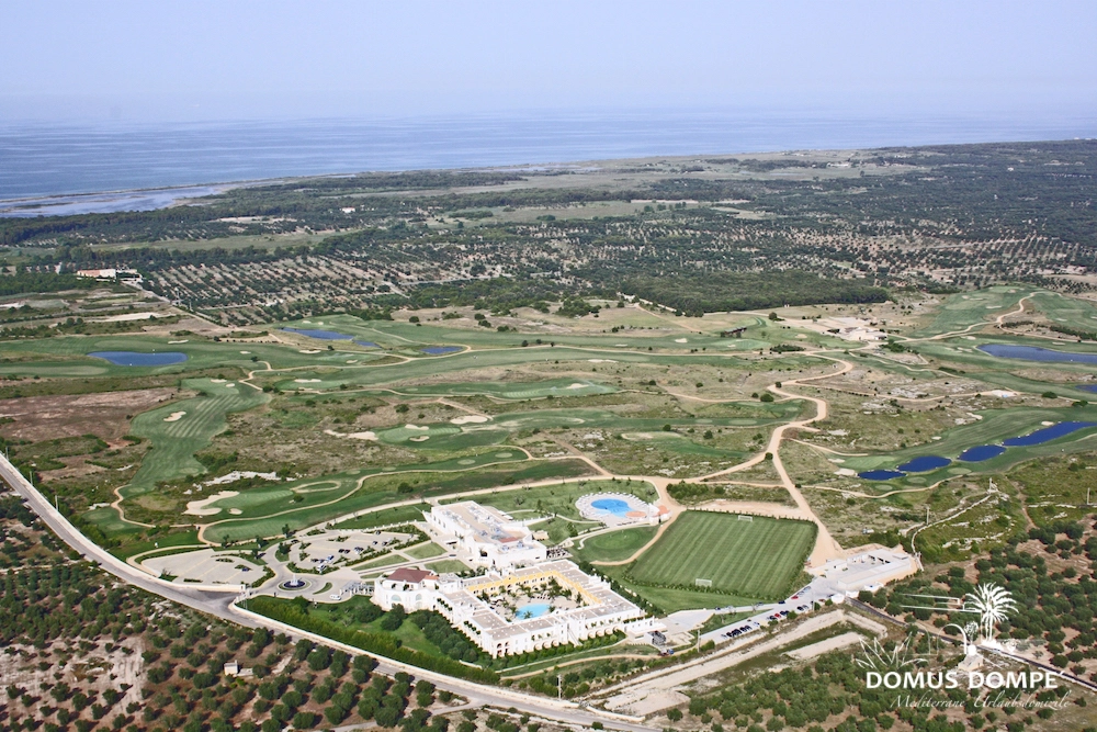 17-Acaya