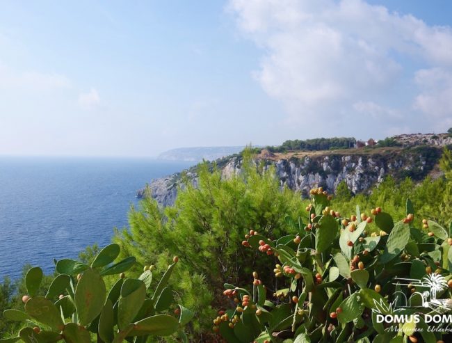 31-Salento-Panorama-650x493