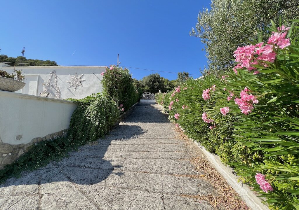 Area comune.14