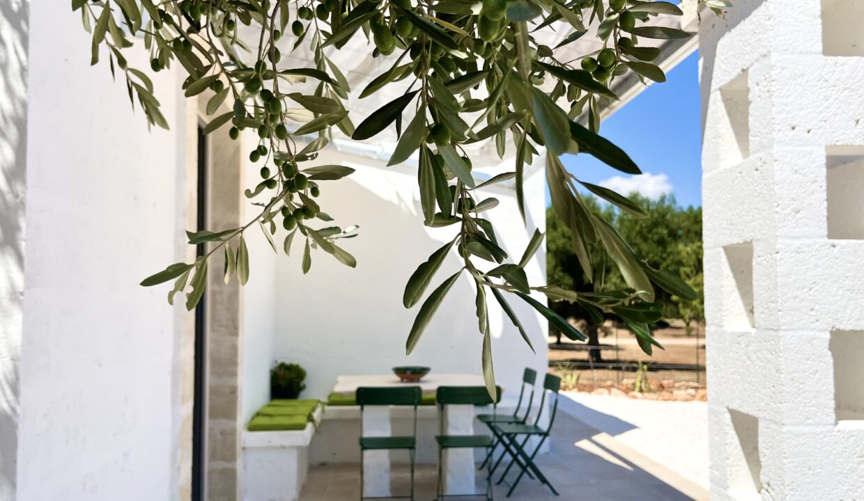 10 - In Grün gehaltene Terrasse neben dem Olivenbaum