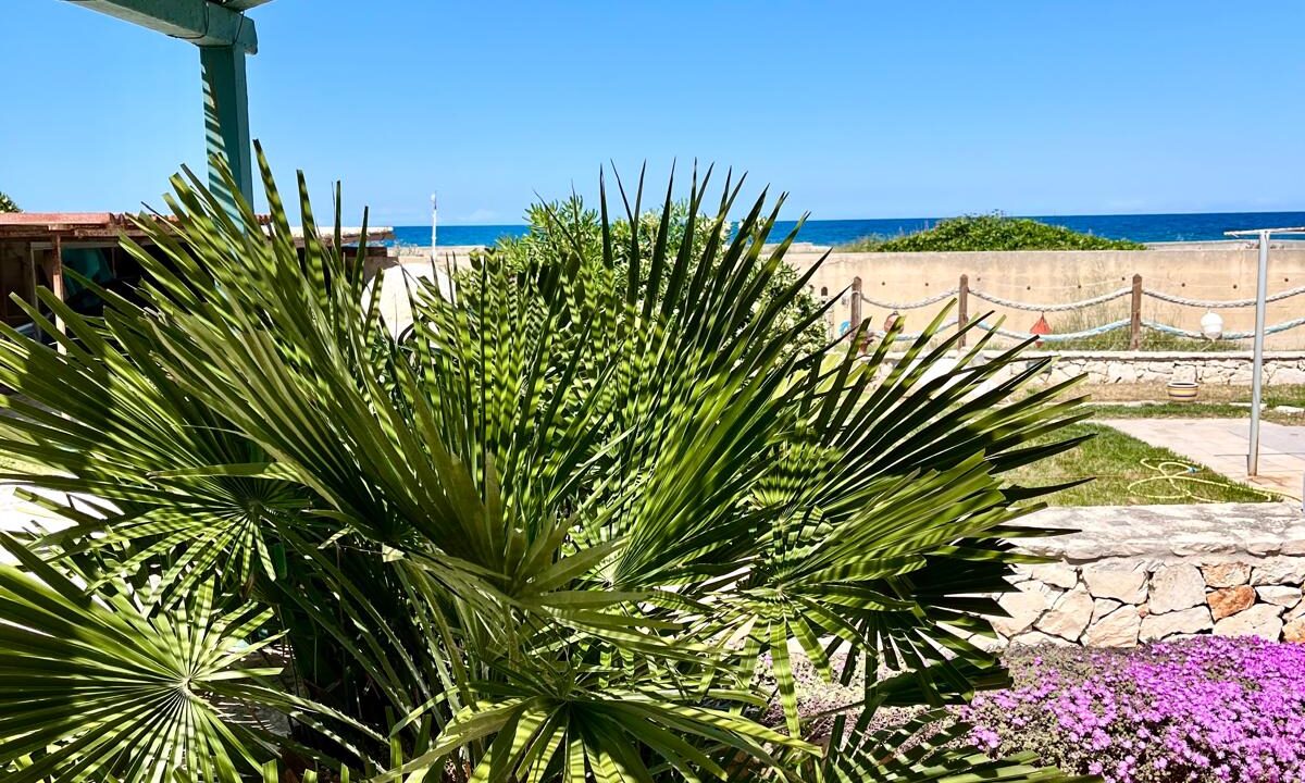 Blick mit Palmen und Pergola aufs Meer